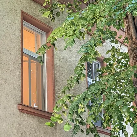 Downtown Nest 塞格德