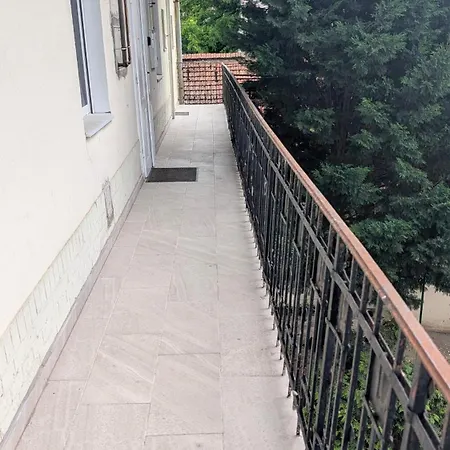 Downtown Nest