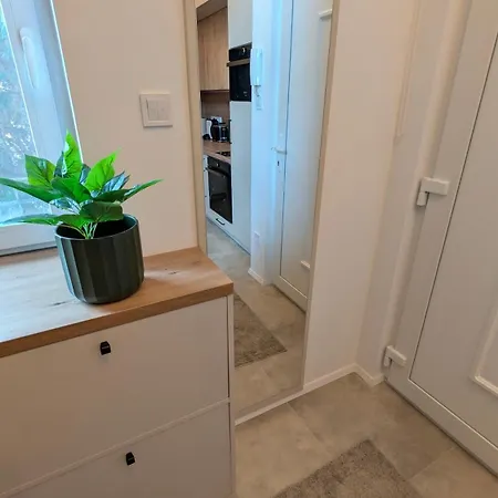 Downtown Nest Apartament